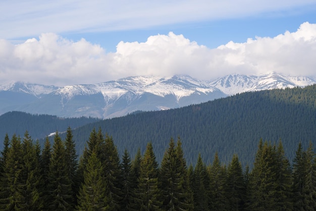 Primavera nas montanhas