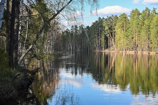 Primavera no Parque Nacional