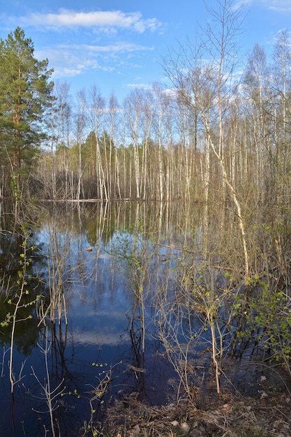 Primavera no Parque Nacional