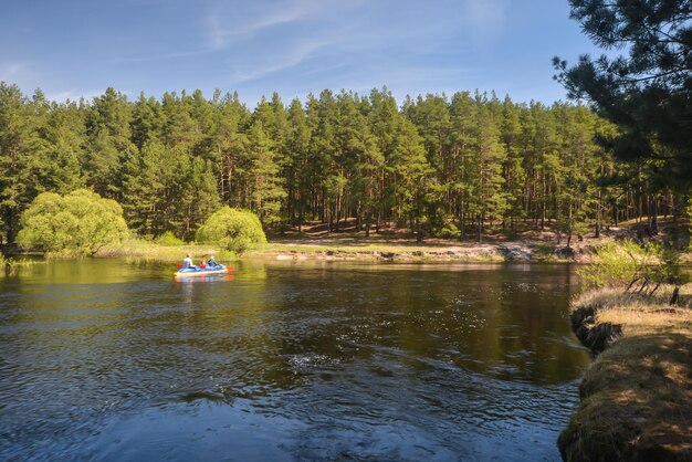 Primavera no rio da floresta