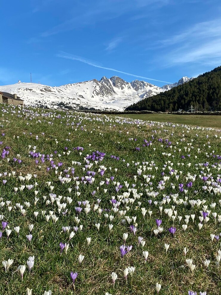 Foto primavera nos pirinéus