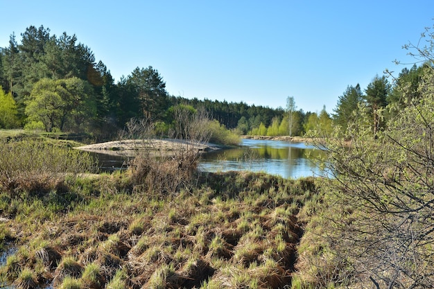 Primavera O rio no Parque Nacional Ryazan Meschera