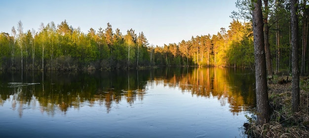 Primavera paisagem de água panorâmica da Rússia Central
