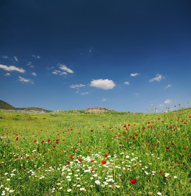 Primavera paisagem montanhosa na Turquia