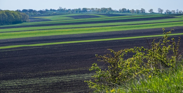 Primavera paisagem rural com campos campos agrícolas aldeia arredores de árvores floridas prados montanhosos região de Chernivtsi Ucrânia