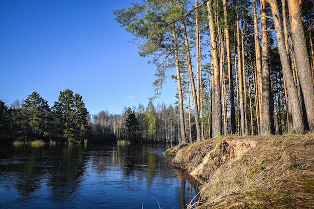 Primavera en el parque nacional de Rusia central