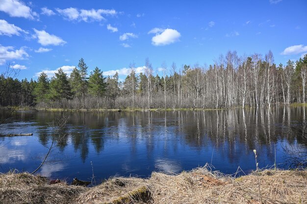 Primavera en el parque nacional de Rusia central