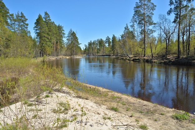 Primavera en el río