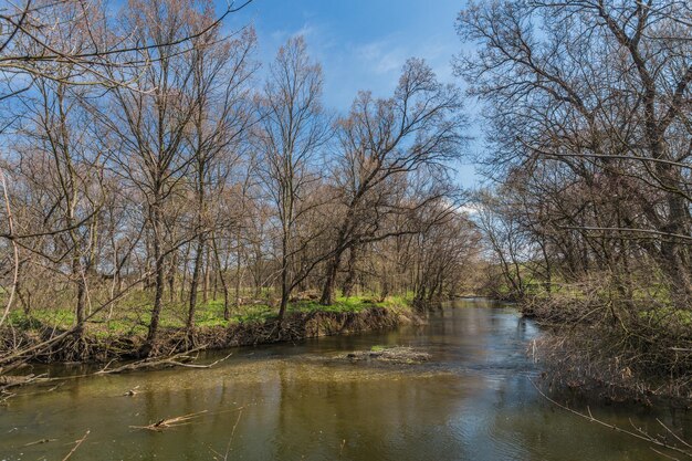 primavera río