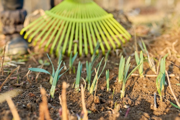 Primavera temporada jardinería rastrillo limpieza patio trasero primer plano