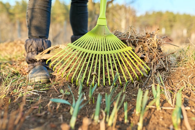 Primavera temporada jardinería rastrillo limpieza patio trasero primer plano