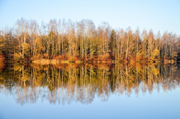 Primavera a través del espejo en el río Svisloch en Minsk