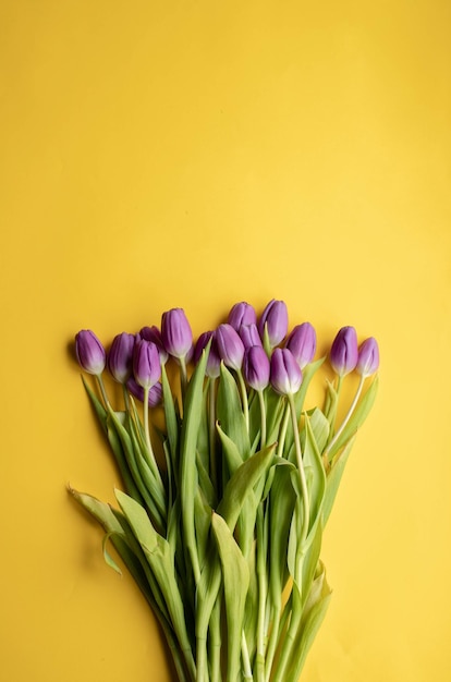 Primavera tulipas frescas em fundo amarelo para cartão de saudação do dia dos namorados do dia das mães