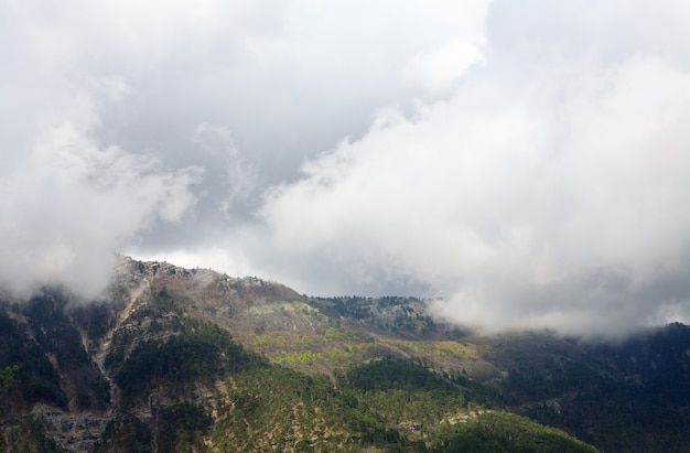 Primavera vista nublada de la pendiente del monte Aj-Petri (sendero botánico, Crimea, Ucrania)