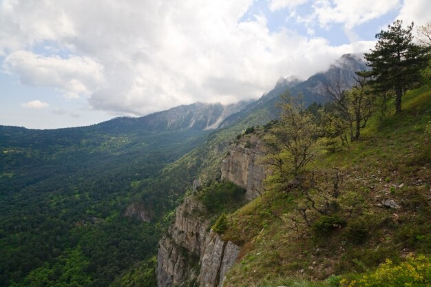 Primavera vista nublada de la pendiente del monte Aj-Petri (sendero botánico, Crimea, Ucrania)