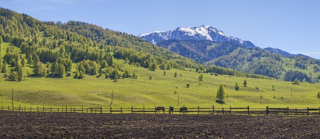 Primavera vista rural, montañas y tierras cultivables