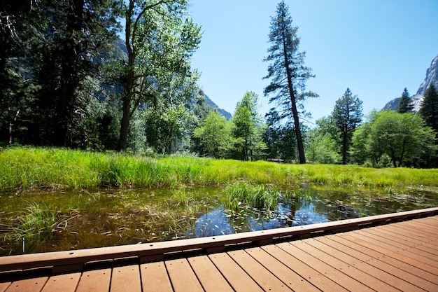 Primavera en Yosemite