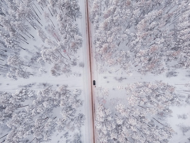 Primeira neve na floresta de abetos Dirigindo na floresta após a queda de neve vista aérea do drone Estrada da floresta nevada Pinheiros como pano de fundo Paisagem de inverno do ar Fundo da floresta natural