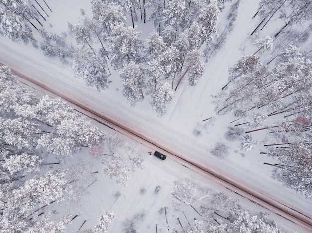 Primeira neve na floresta de abetos Dirigindo na floresta após a queda de neve vista aérea do drone Estrada da floresta nevada Pinheiros como pano de fundo Paisagem de inverno do ar Fundo da floresta natural