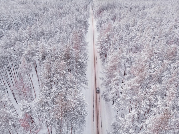 Foto primeira neve na floresta de abetos dirigindo na floresta após a queda de neve vista aérea do drone estrada da floresta nevada pinheiros como pano de fundo paisagem de inverno do ar fundo da floresta natural