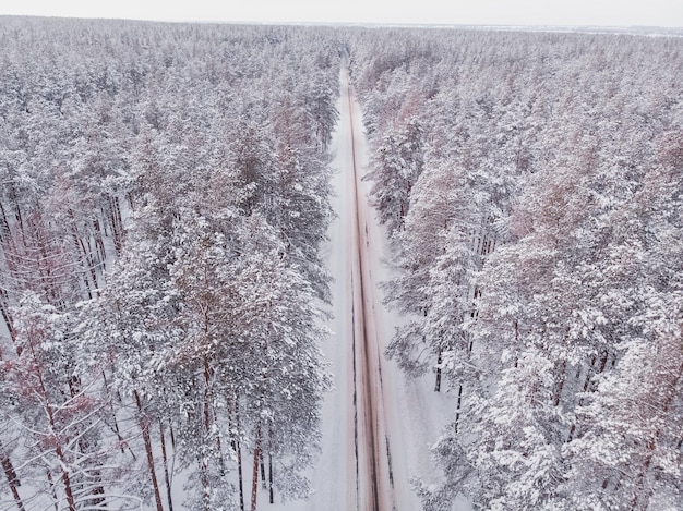 Primeira neve na floresta de abetos Dirigindo na floresta após a queda de neve vista aérea do drone Estrada da floresta nevada Pinheiros como pano de fundo Paisagem de inverno do ar Fundo da floresta natural