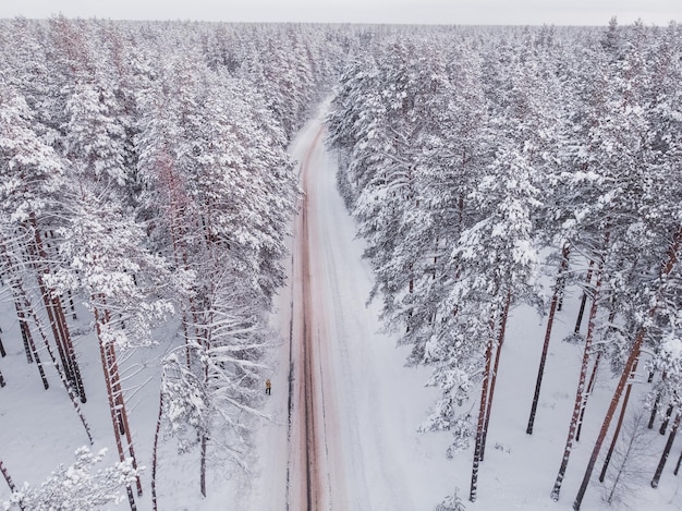 Foto primeira neve na floresta de abetos dirigindo na floresta após a queda de neve vista aérea do drone estrada da floresta nevada pinheiros como pano de fundo paisagem de inverno do ar fundo da floresta natural