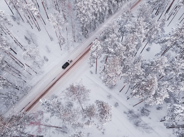 Foto primeira neve na floresta de abetos dirigindo na floresta após a queda de neve vista aérea do drone estrada da floresta nevada pinheiros como pano de fundo paisagem de inverno do ar fundo da floresta natural