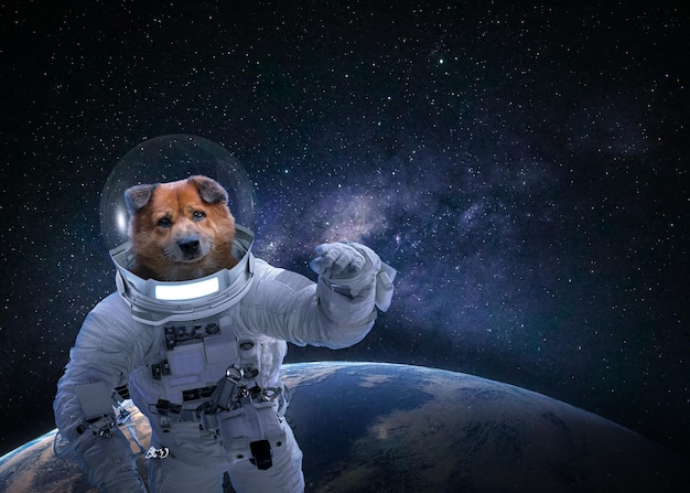 Foto primeira viagem ao espaço cão astronauta em um traje espacial retrato de um cachorro-astronauta no espaço