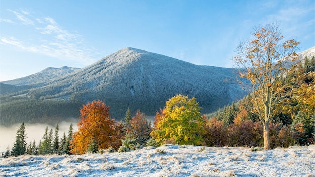 Primeiro campo de neve na montanha Linda manhã de outono