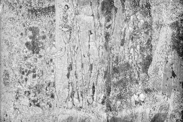 Primer agrietado viejo de la textura del fondo de la pintura oxidada blanco y negro