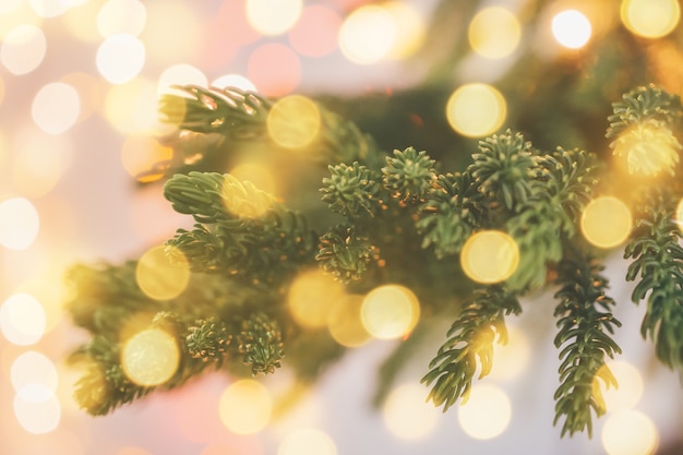 Primer árbol de Navidad con fondo claro bokeh