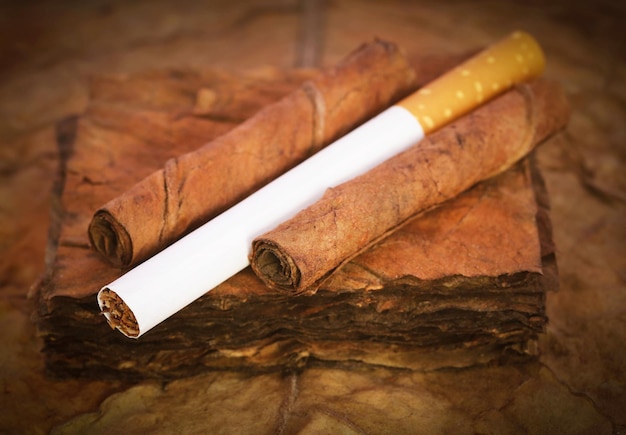 Primer cigarrillo con hojas de tabaco secas