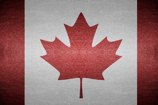 primer concepto de bandera de pantalla de Canadá en cuero de PVC para el fondo