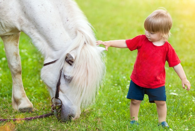 Primer encuentro con un caballo. Niño y caballo