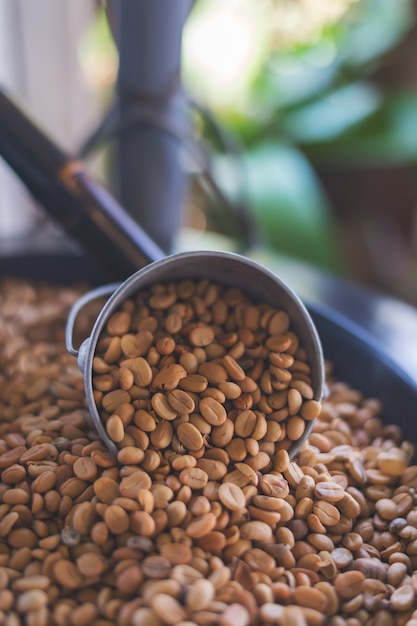 Primer grano de café con enfoque suave y luz en el fondo