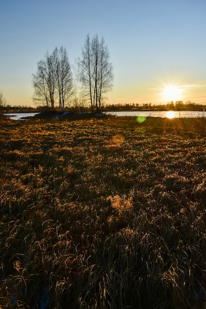 El primer hielo en el sol al atardecer.