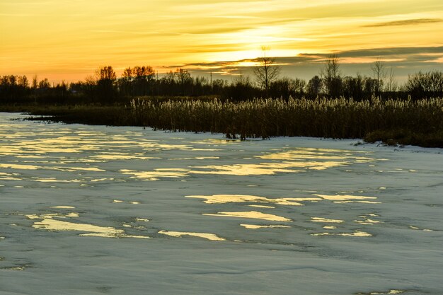 El primer hielo en el sol al atardecer.