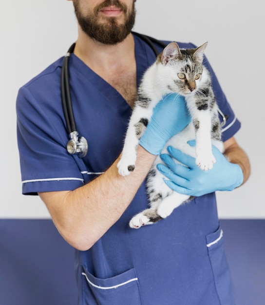 Primer médico con barba con lindo gato