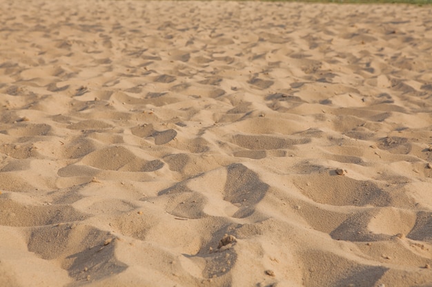 Primer del modelo de la arena de una playa en el verano.