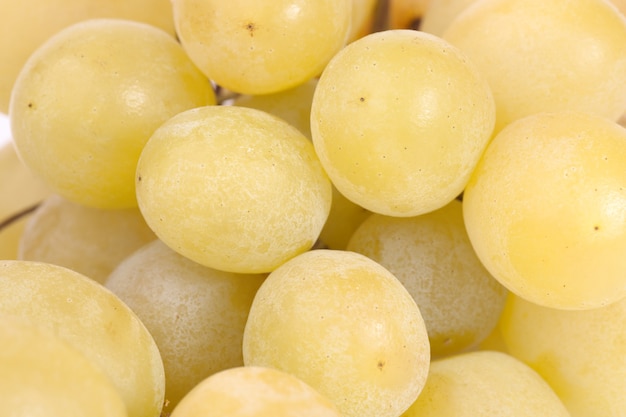 Primer parte del racimo de uvas blancas