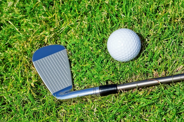 Primer de la pelota del palillo de golf en la hierba.