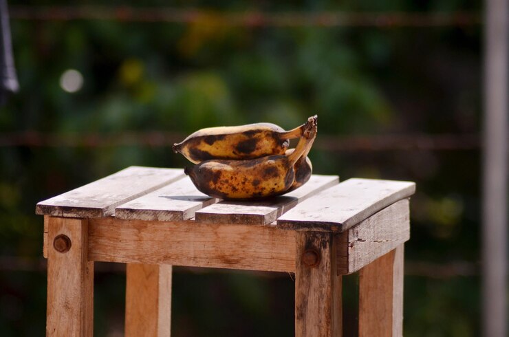 Foto primer plano de una abeja en la mesa
