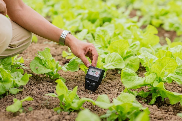 El primer plano del agricultor manual utiliza el medidor de PH del suelo para verificar el valor de PH de la granja de viveros de plantas orgánicas Concepto de tecnología agrícola