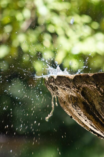 Foto primer plano de agua salpicando en una vieja fuente de piedra