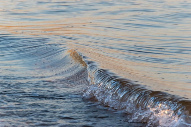 Foto primer plano del agua