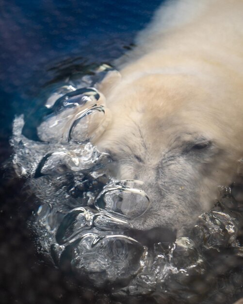 Foto primer plano del agua