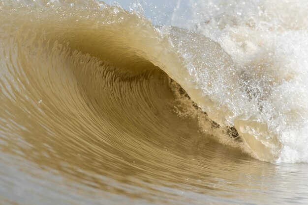 Foto primer plano del agua