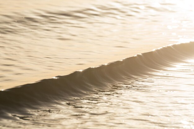 Foto primer plano del agua