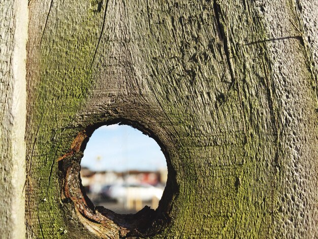 Foto primer plano de un agujero en una pared de madera