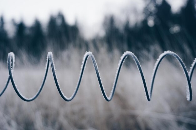 Foto primer plano de alambre rizado congelado al aire libre
